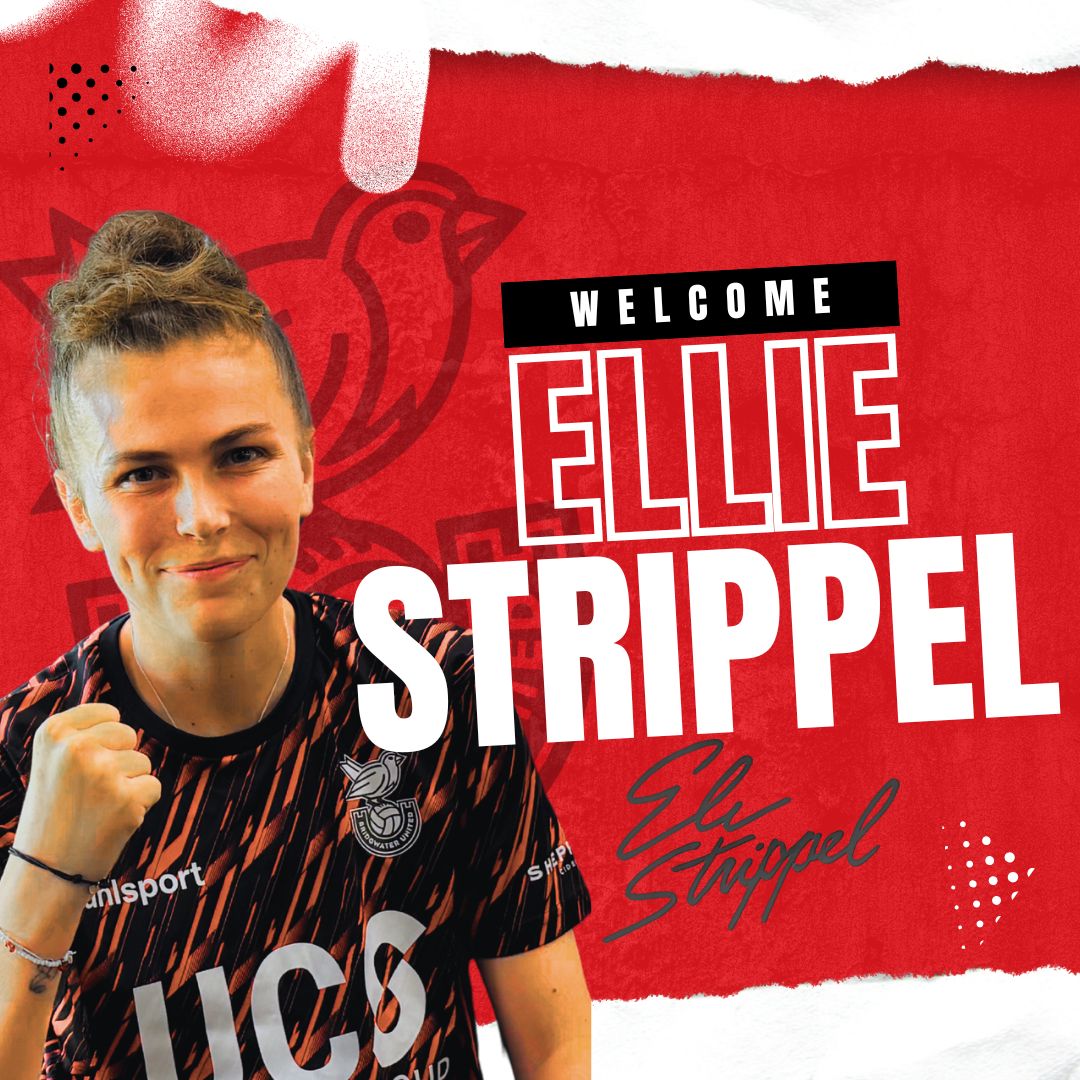 Ellie Strippel